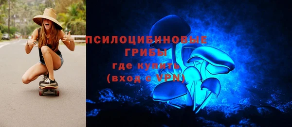 шишки Алзамай