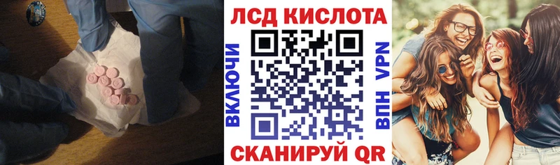 дарнет шоп  Димитровград  ЛСД экстази ecstasy 